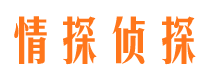 沅江市私家侦探